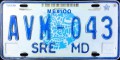 Nummernschilder / Kfz-Kennzeichen Mexiko 2005 2000er